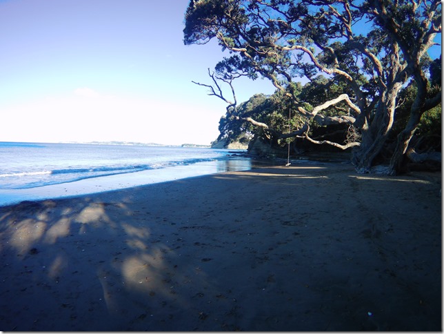 2017_0211_064320_001