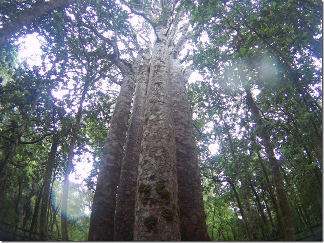 2017_0215_020933_010