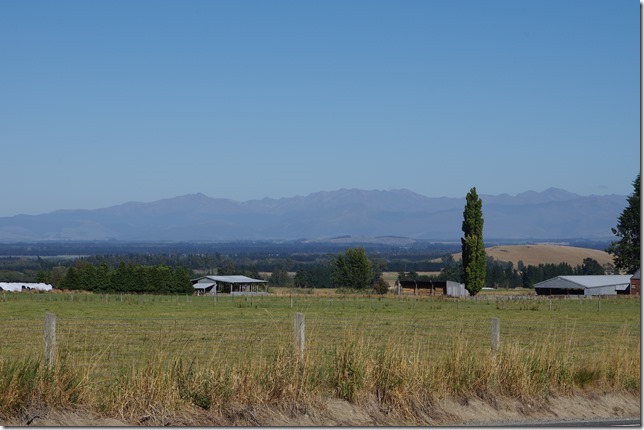 IMGP2333